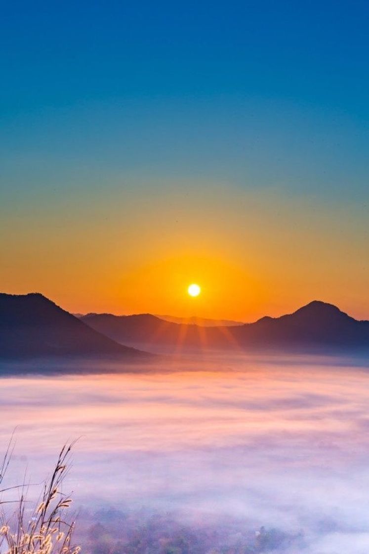 Moda Vale da Montanha durante o nascer do sol 🌄 