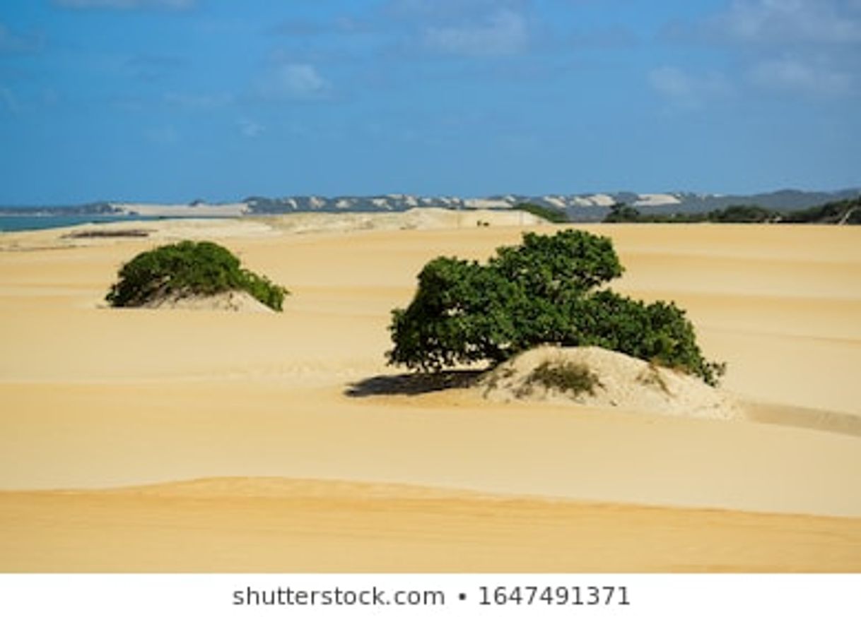 Place Pitangui dunes