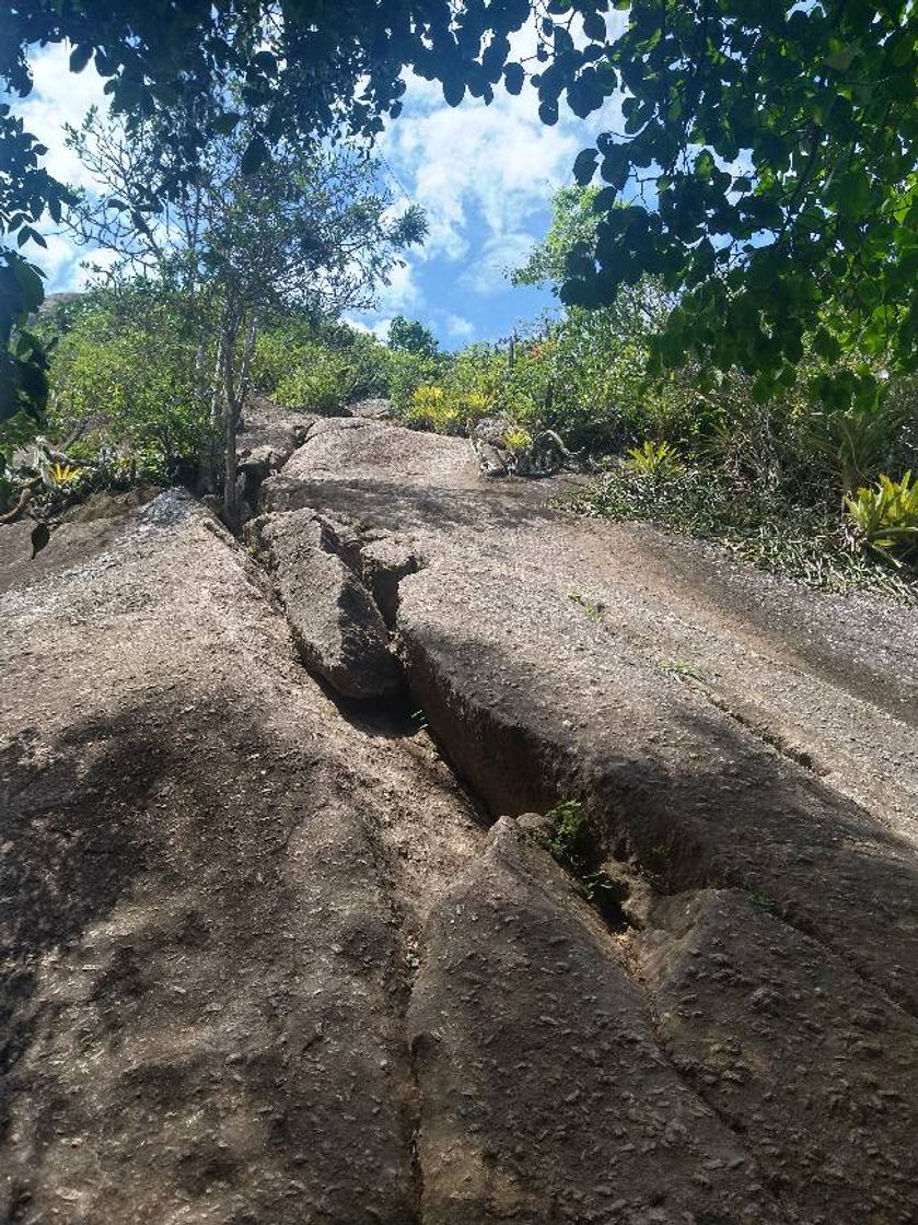 Place Pedra do Elefante