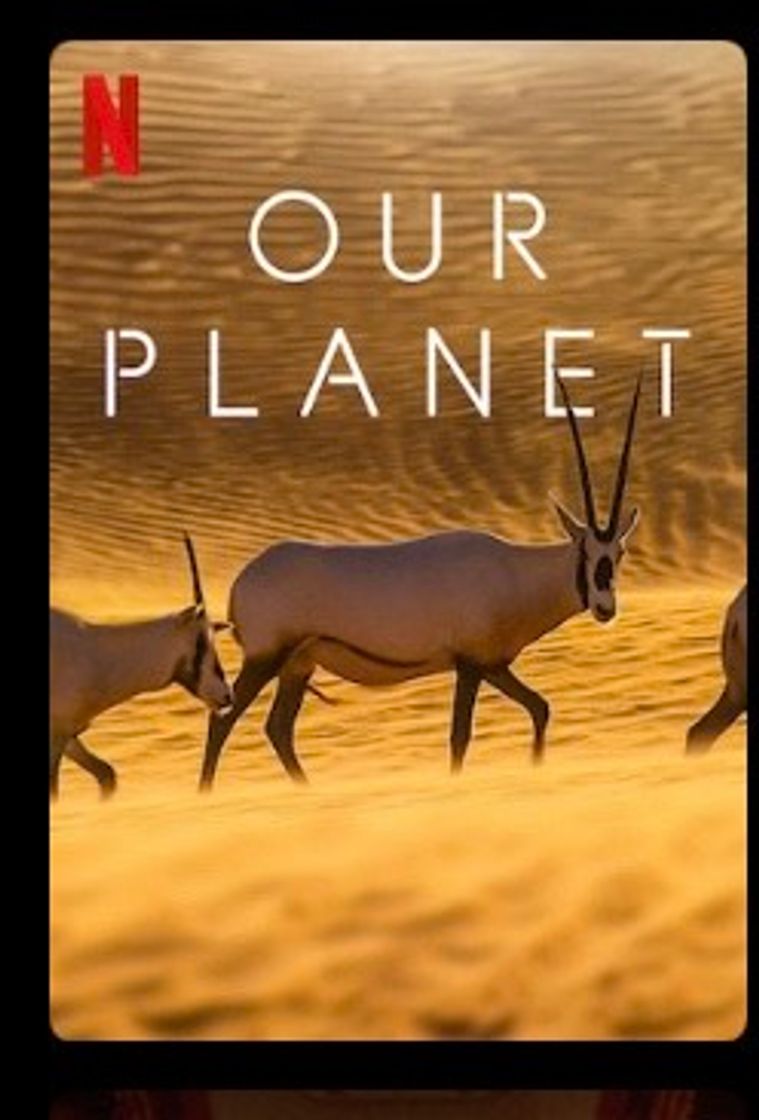 Movie Our Planet | Netflix Official Site