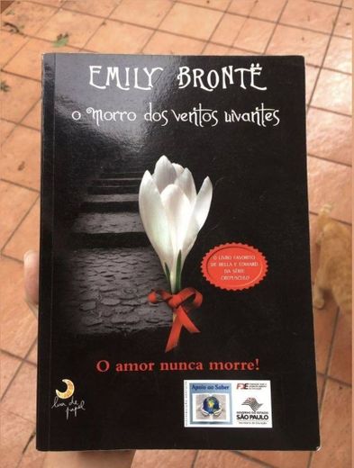 O Morro dos Ventos Uivantes - por Emilly Bronte