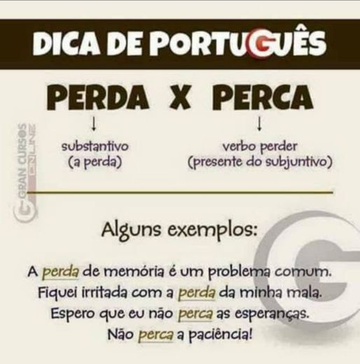 Português 🤓