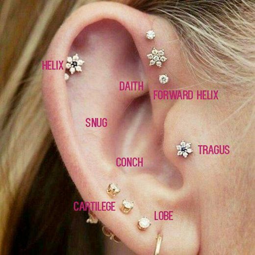 Nomes das partes da orelha.