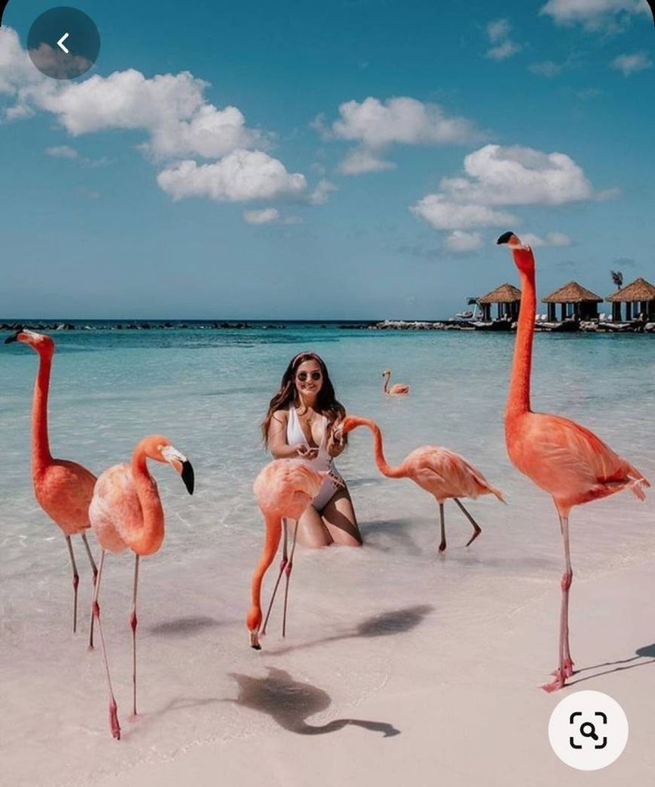 Place Aruba