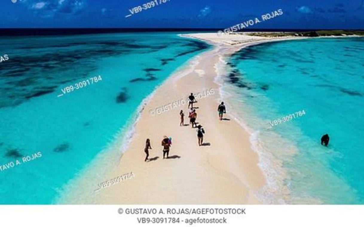 Place Los Roques