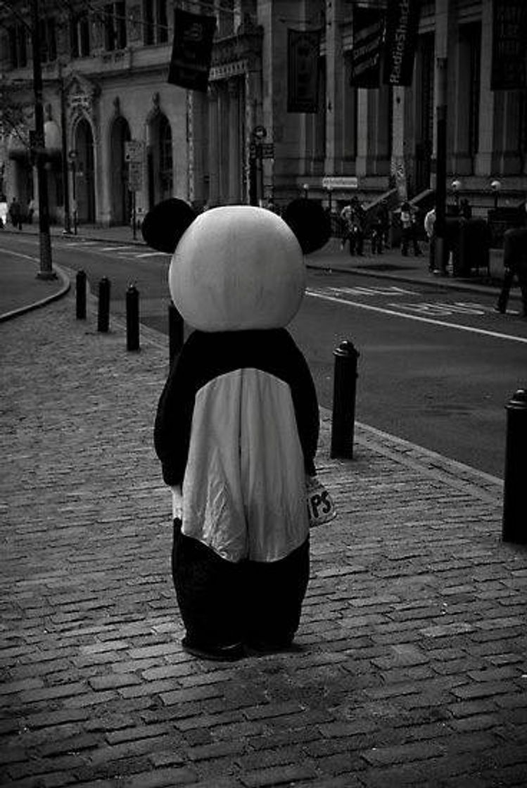 Fashion Panda Solitário