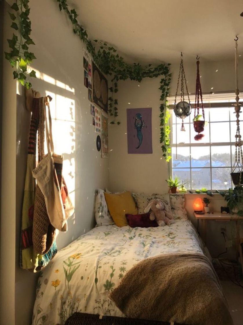 Social Bedroom