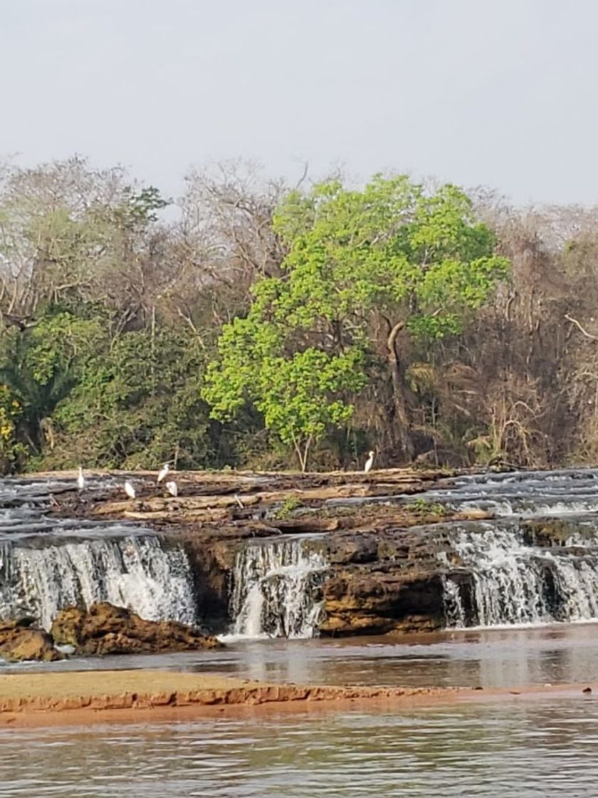 Place Cachoeira das Palmeiras