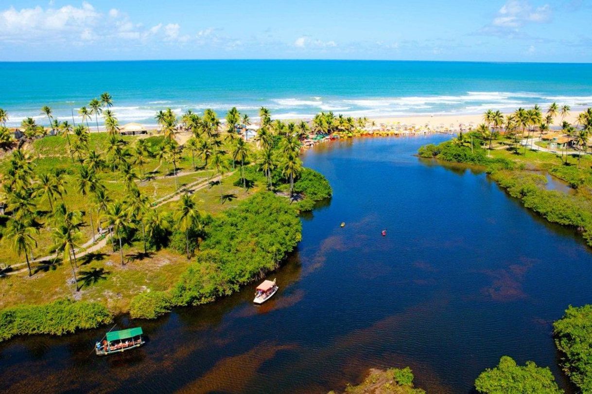 Restaurantes Praia de Imbassaí