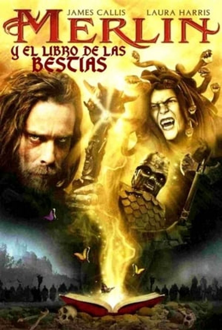 Película Merlin y el libro de las Bestias