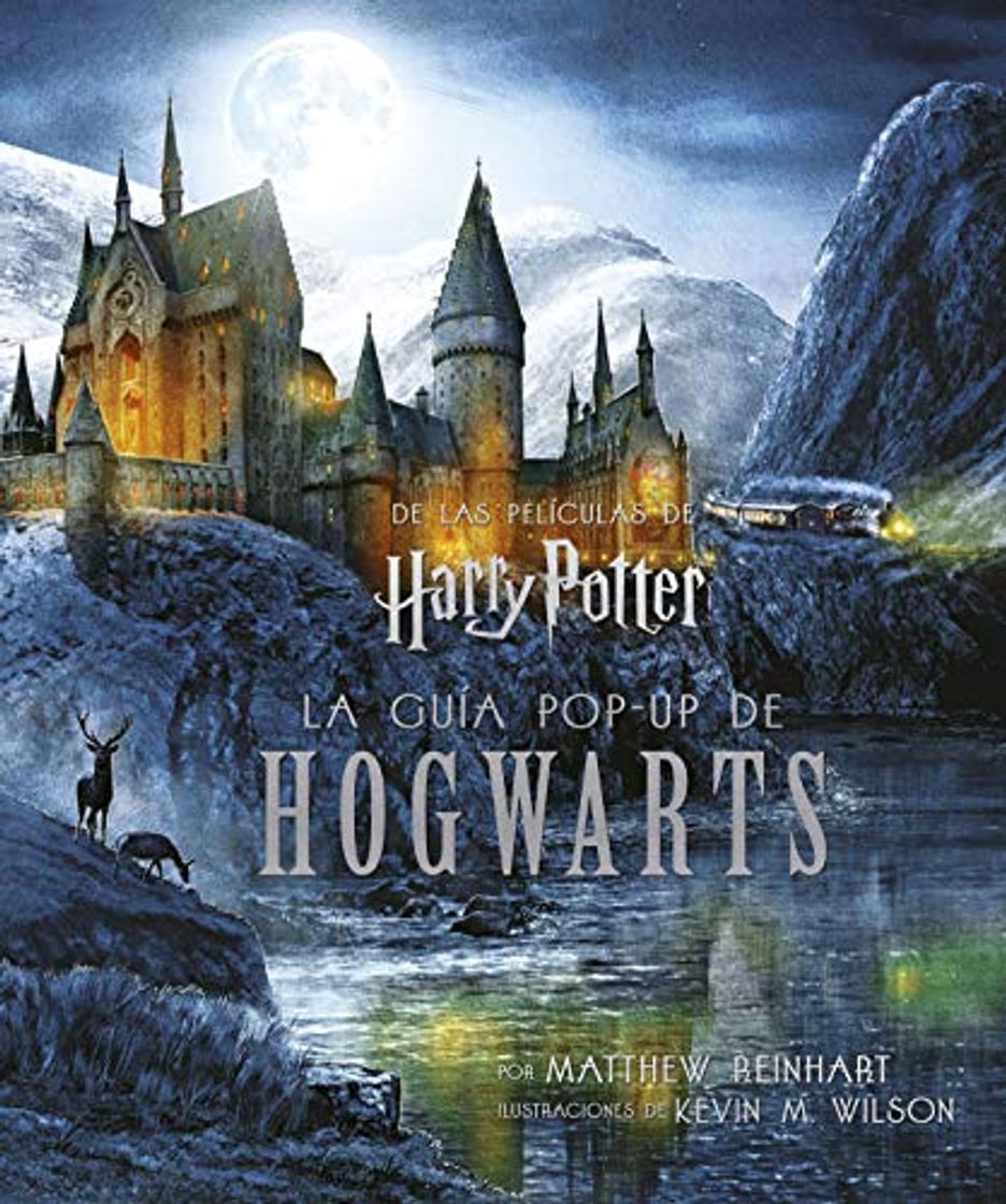 Social HARRY POTTER