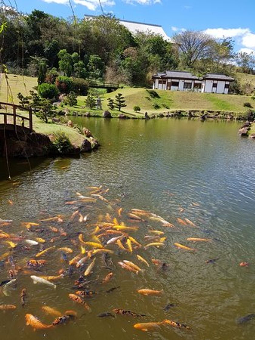 Lugar Parque do Japão