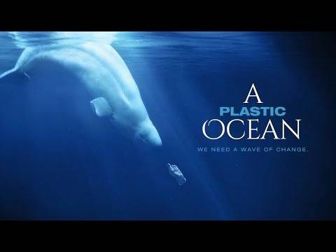 Serie A Plastic Ocean | Netflix