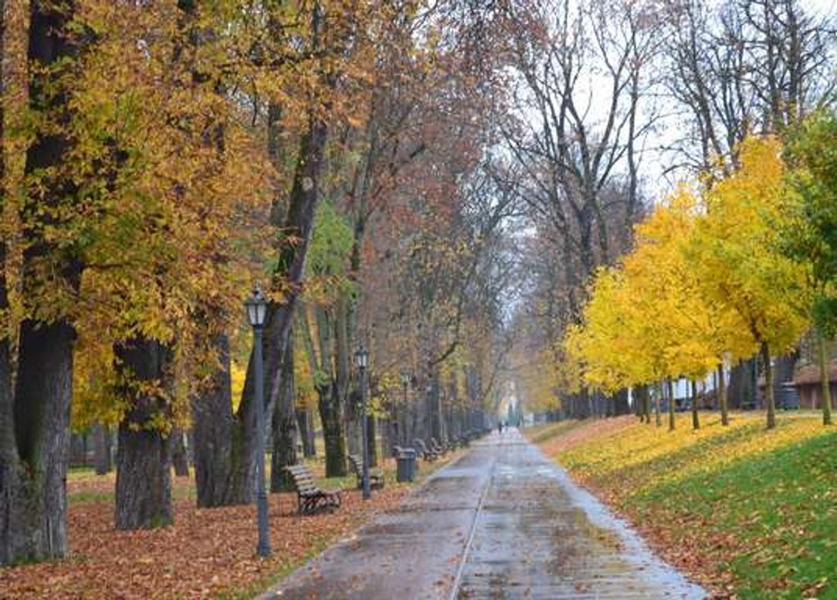 Places Bistrița