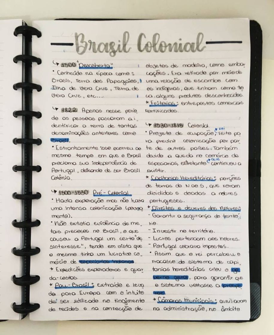 Fashion Dicas de estudo 