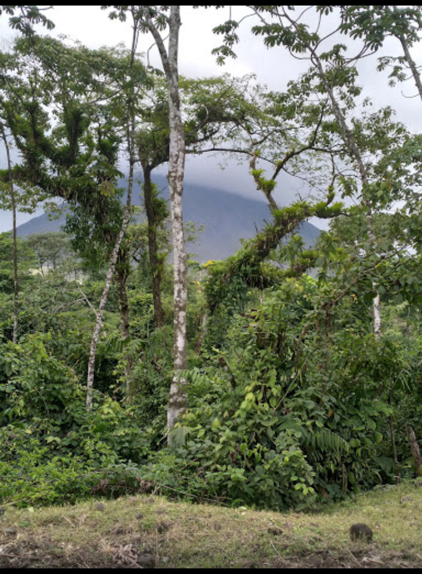 Place Parque Nacional Volcán Arenal