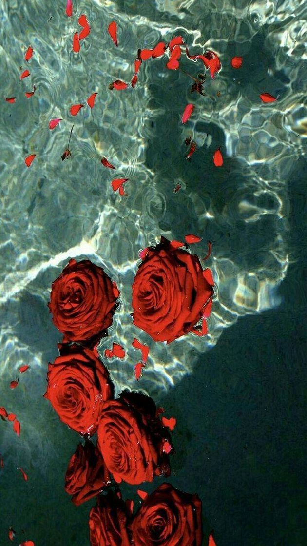 Social Fotos astethic