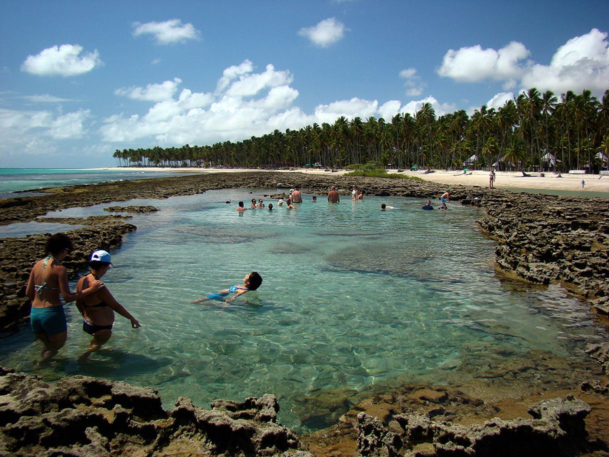 Place Piscinas naturais praia de Tamandaré