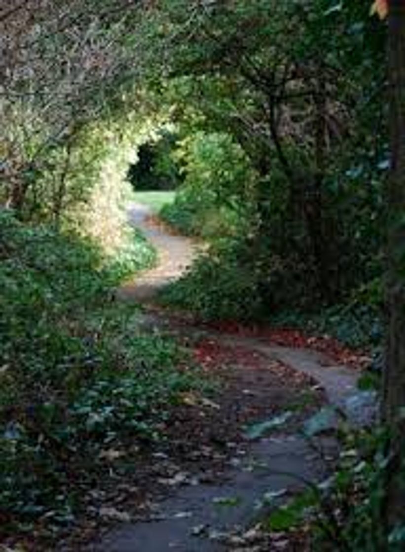Place Lettsom Gardens