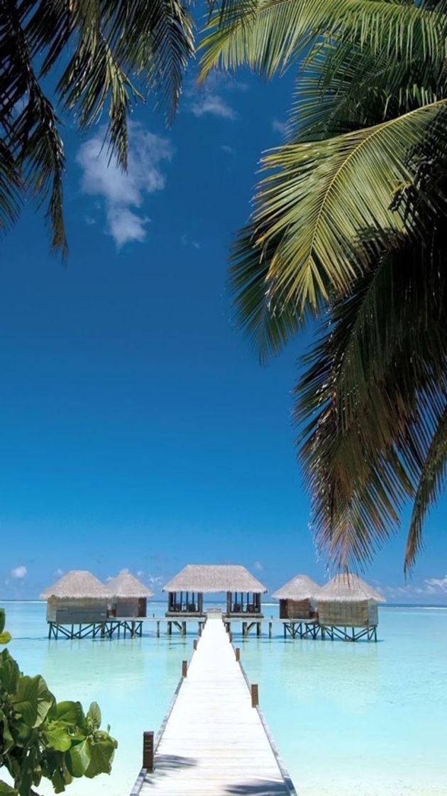 Place Islas Malvinas