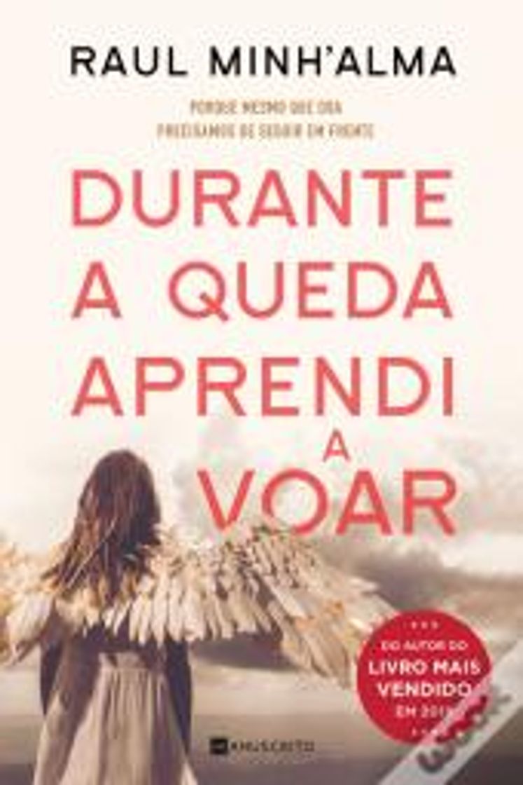 Book Durante a Queda Aprendi a Voar - Raul Minh'Alma 
