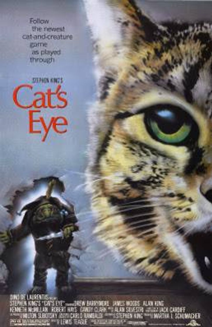 Película Los ojos del gato