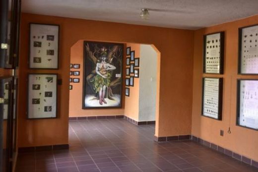 Museo vivo de Malinalco, los Bichos de Malinalco