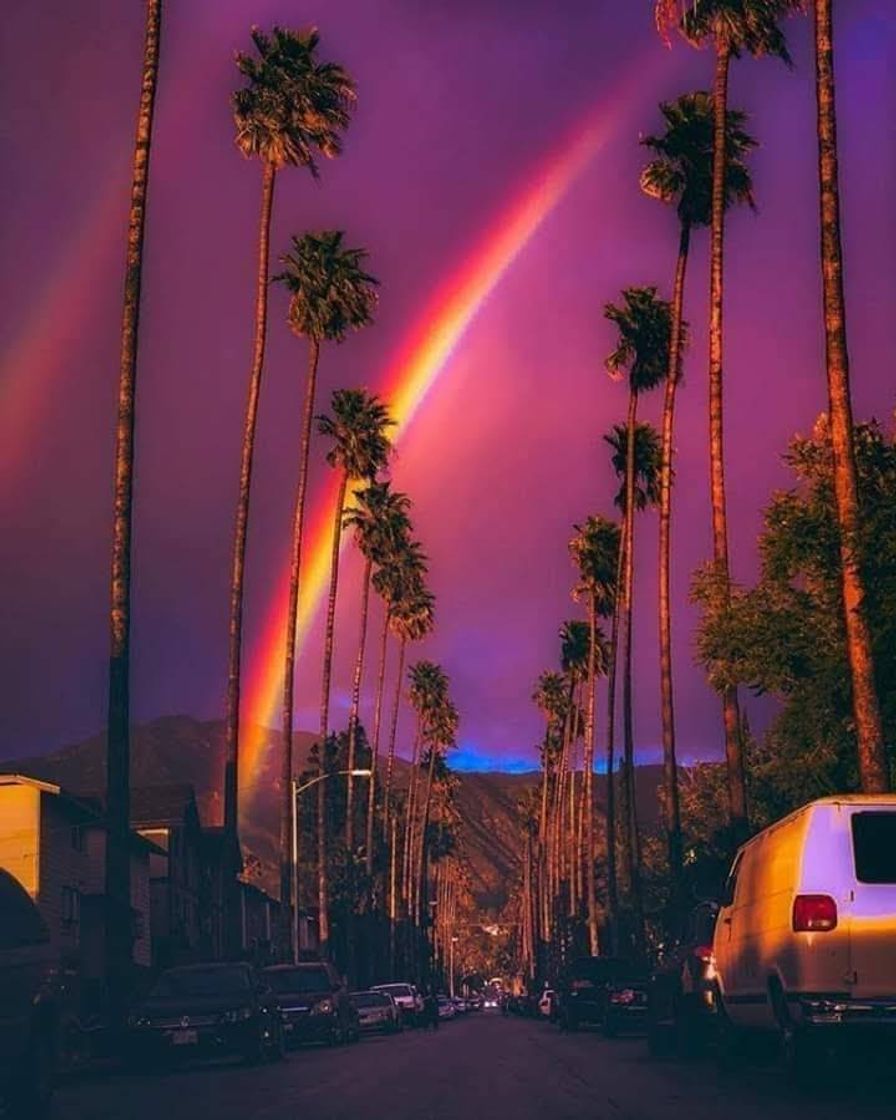 Social Wallpaper