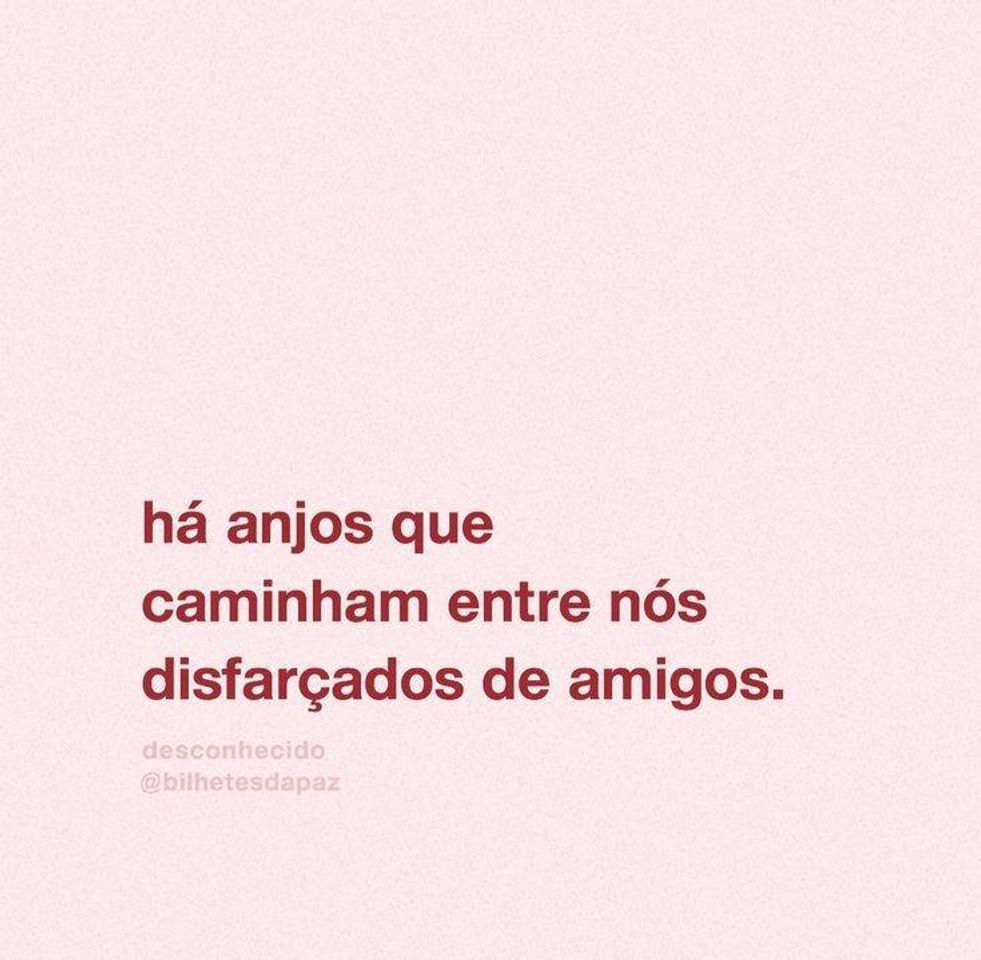 Fashion Frases ✨