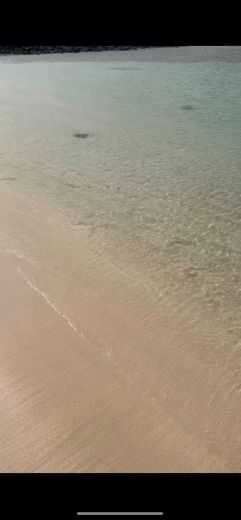 Playa de la Concha