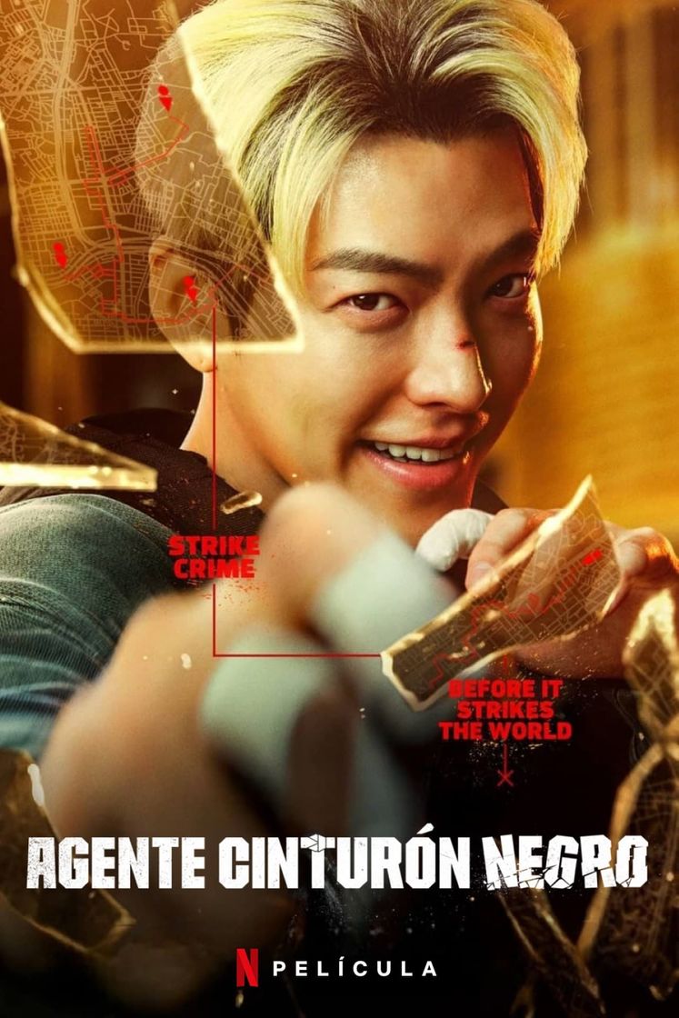 Movie Agente cinturón negro