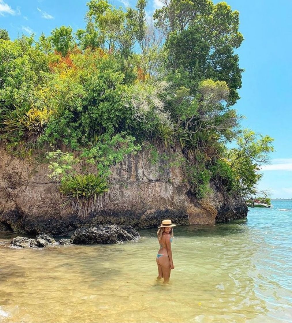 Fashion Barra Grande - Bahia, Brasil🌴