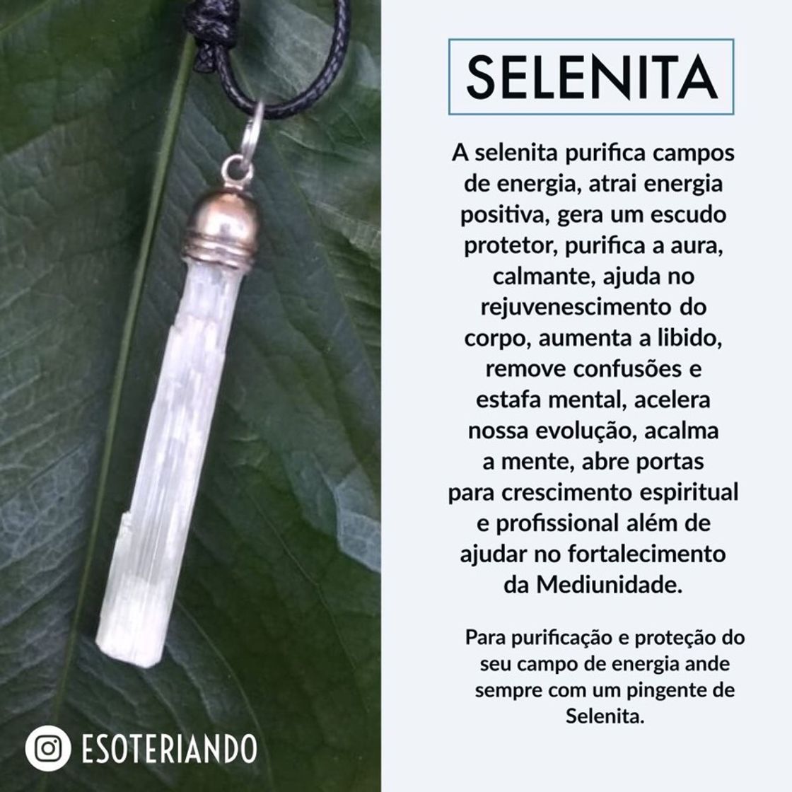 Moda Selenita 