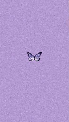 Wallpaper borboleta roxo