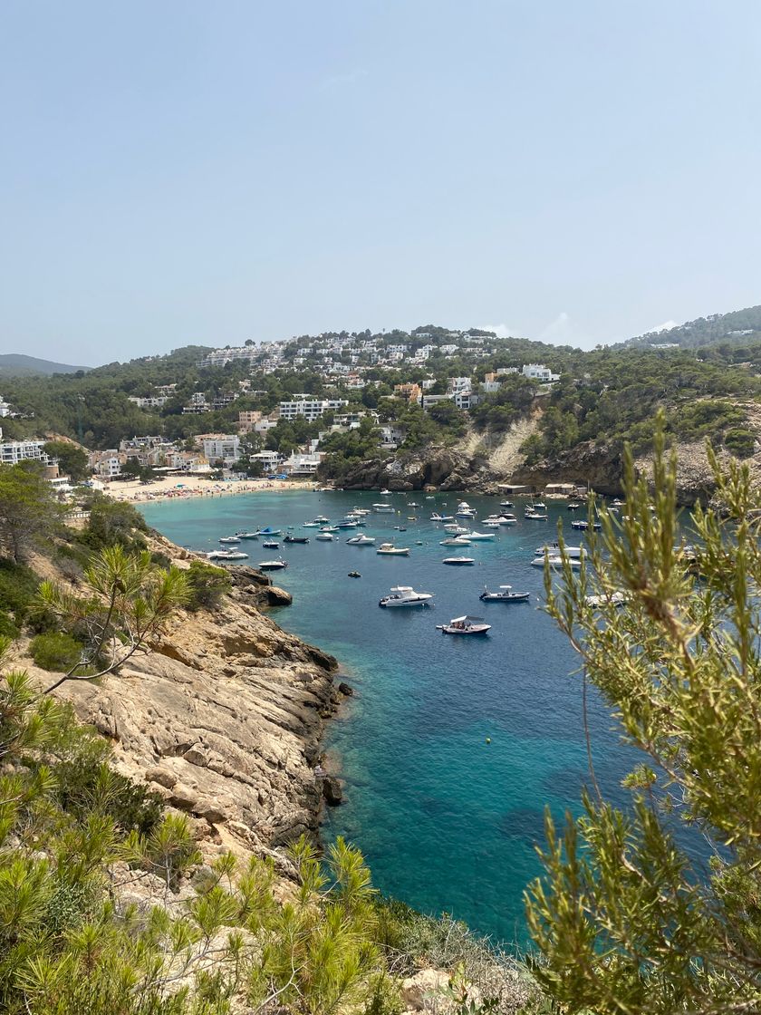 Place Cala Vadella