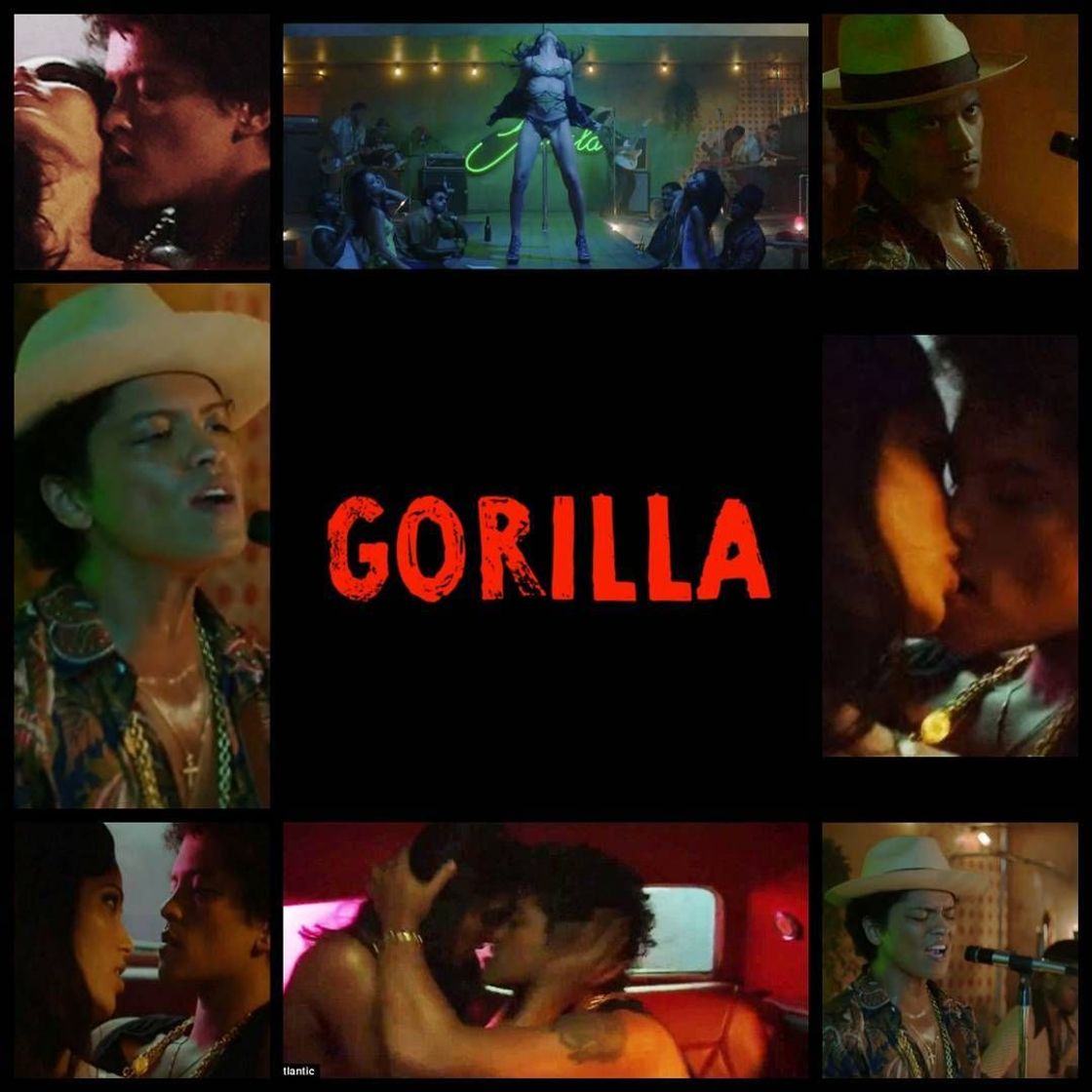 Music Gorilla