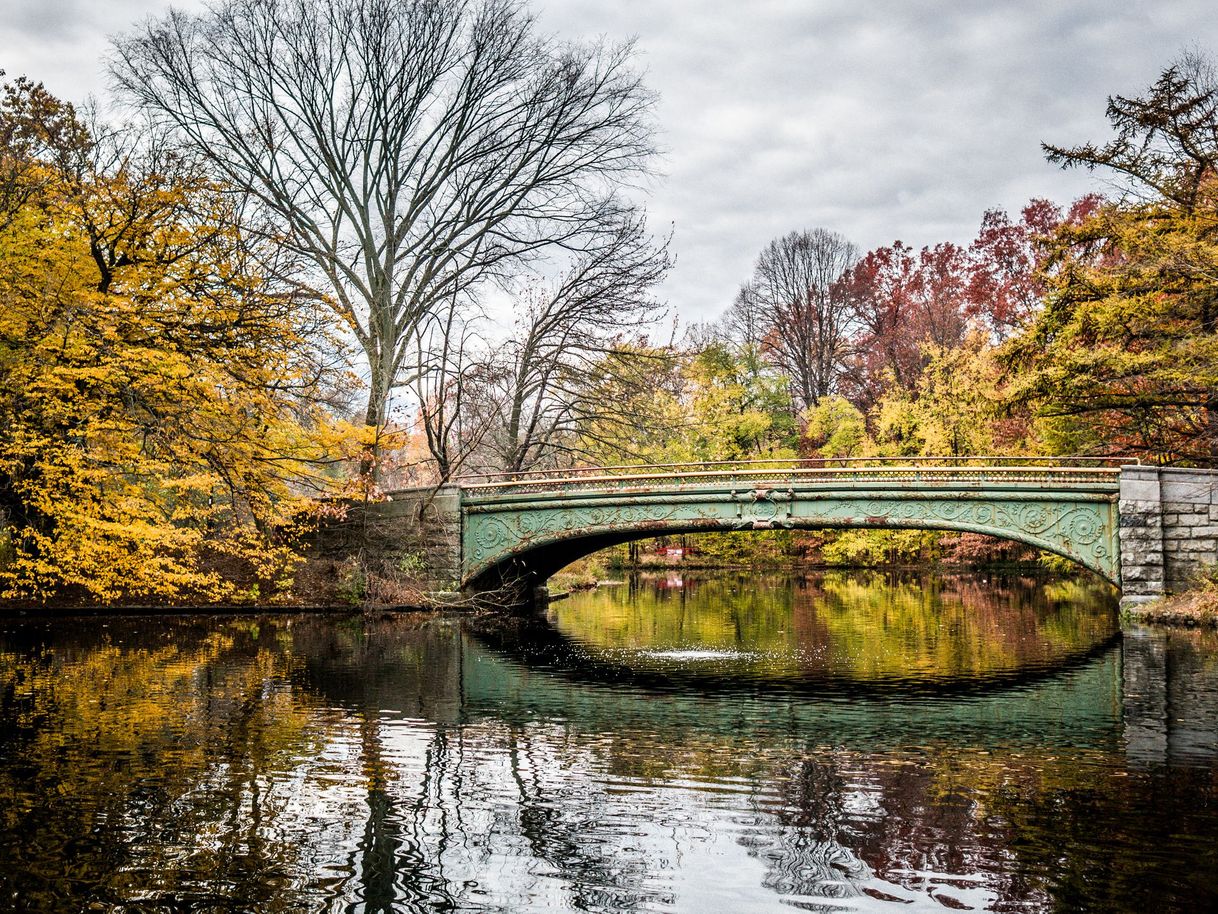 Lugar Prospect Park