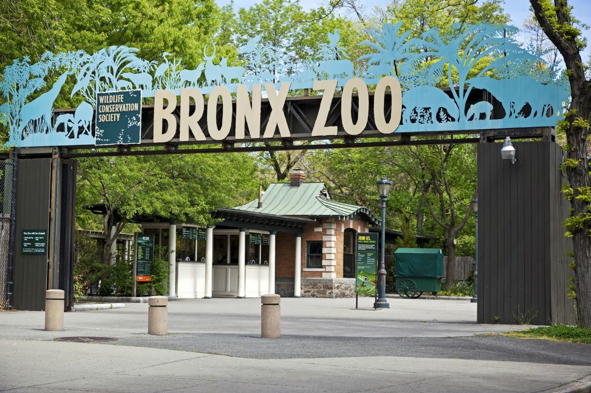 Lugar Zoológico del Bronx