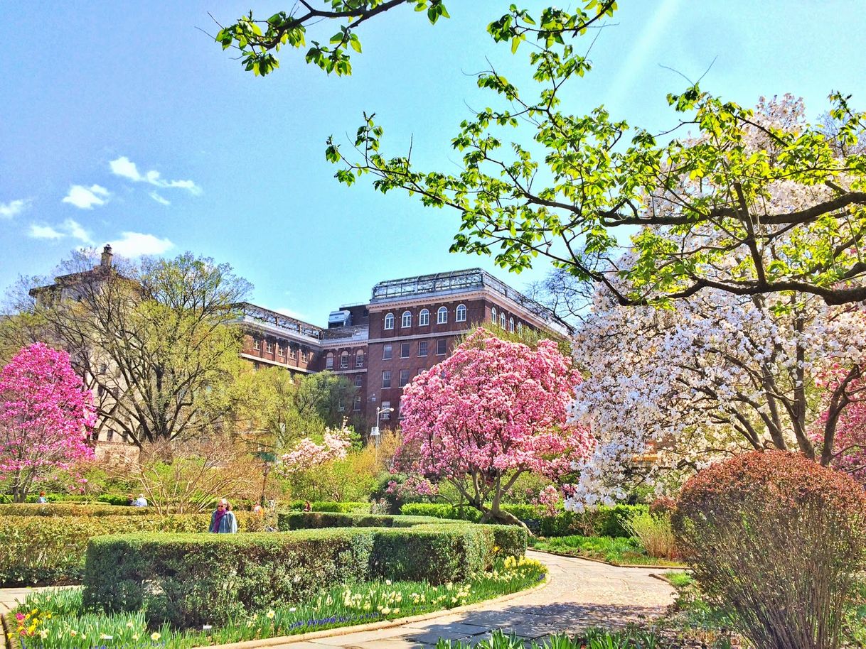 Lugares Conservatory Garden