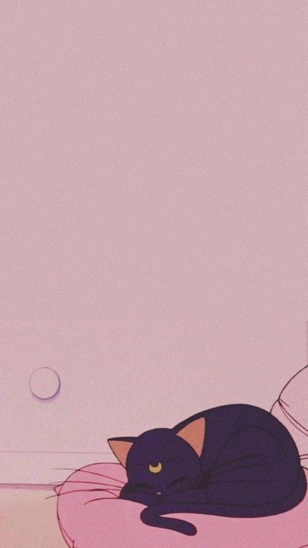 Social Wallpaper