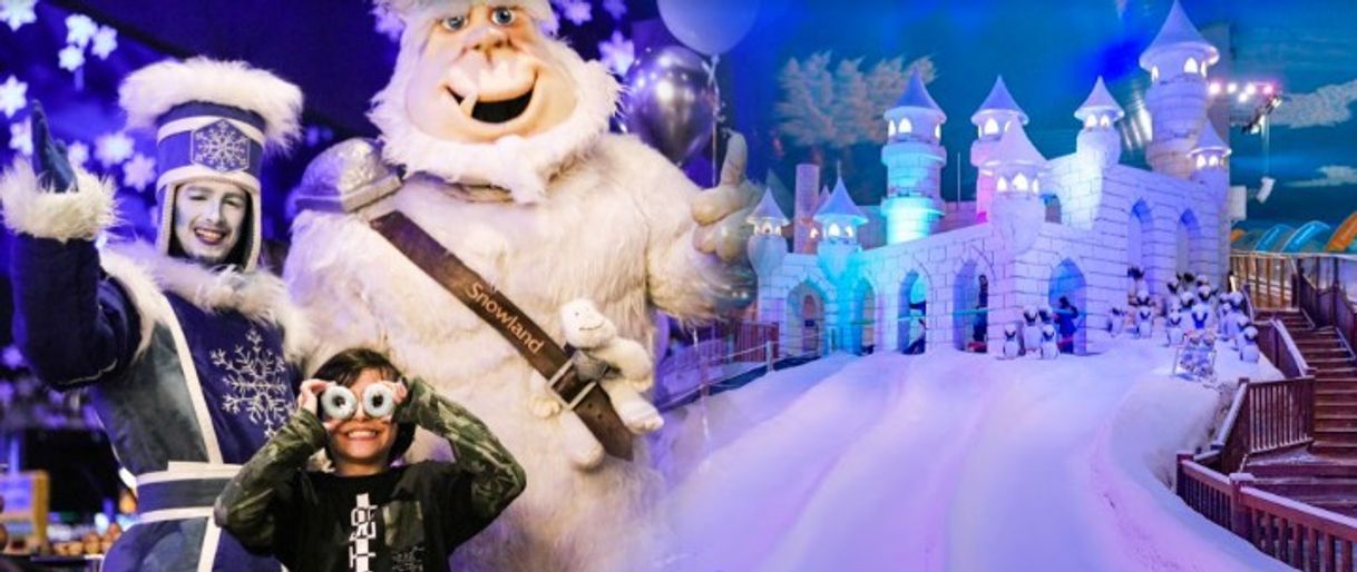 Place Snowland