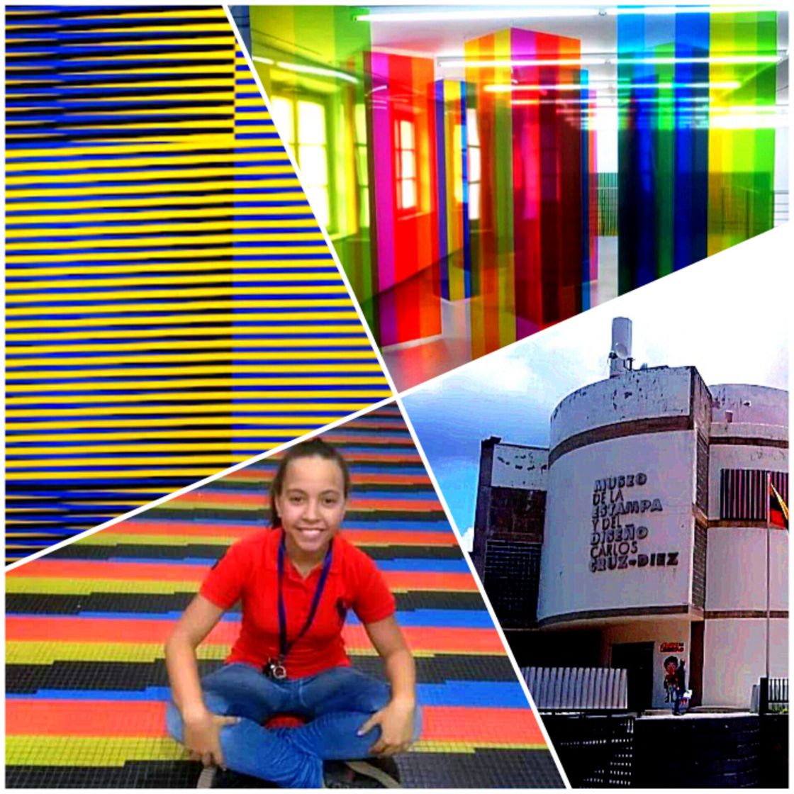 Place Museo Carlos Cruz Diez 