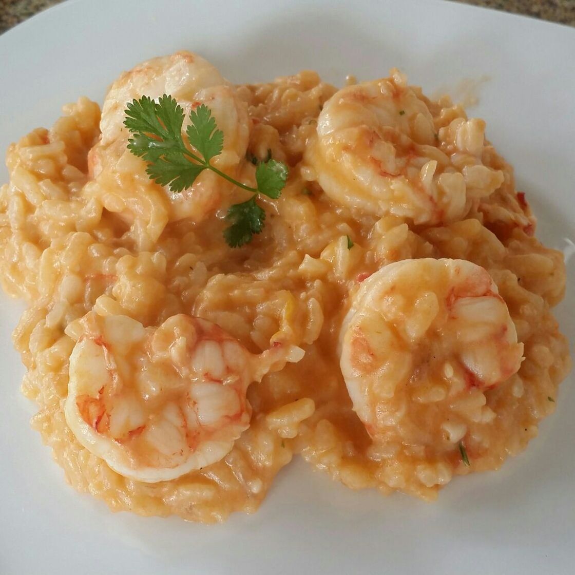Social Risoto de Camarão com Queijo