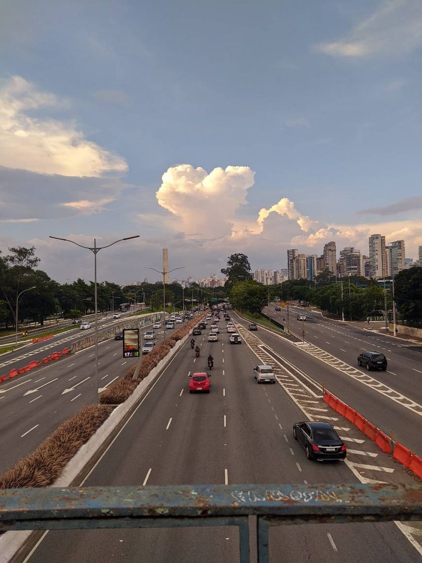 Place Parque Ibirapuera