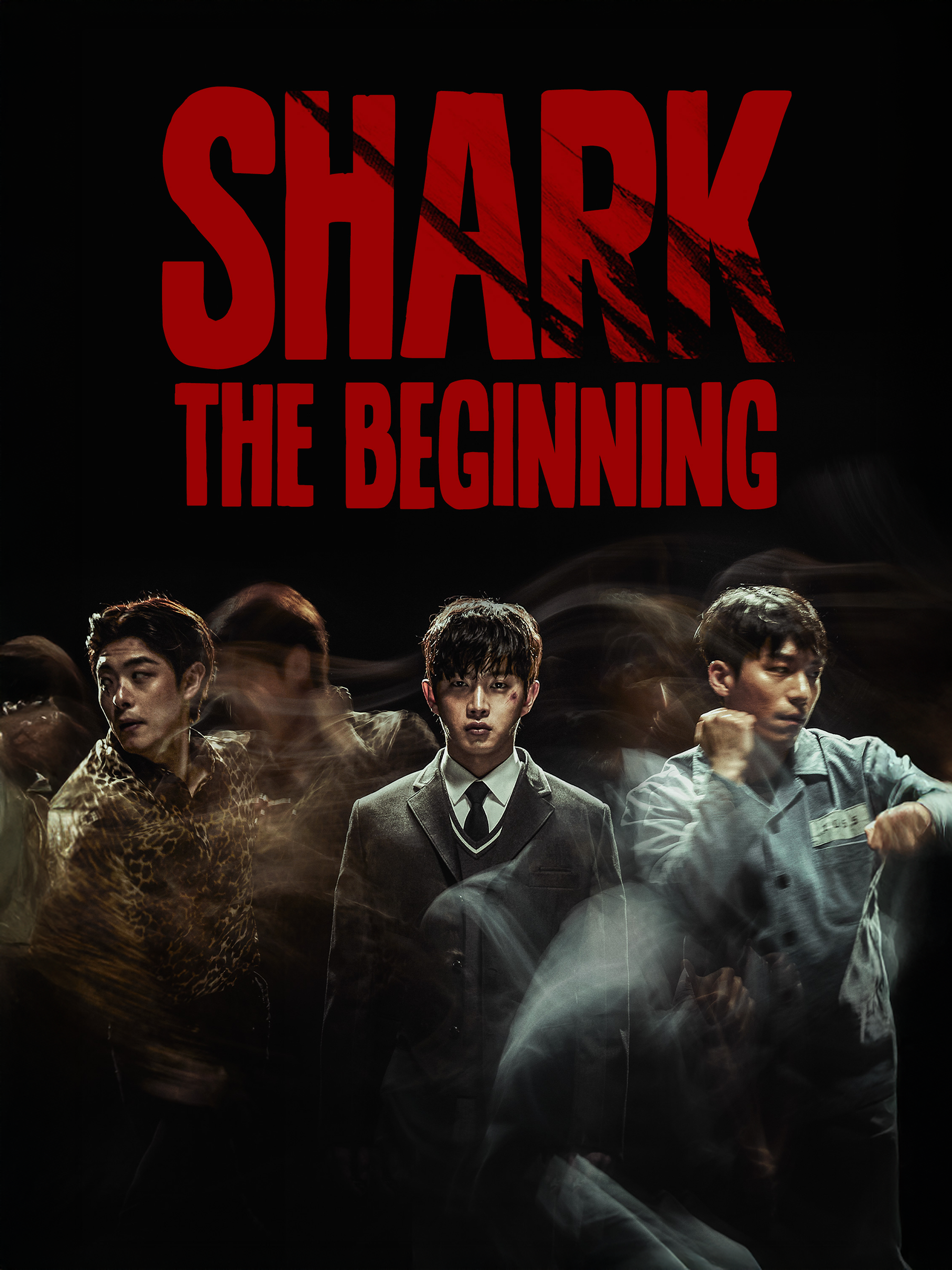 Social Shark: The beginning 