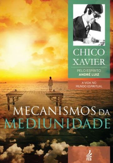 Mecanismos da mediunidade