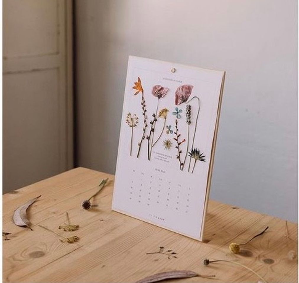 Social Taller de flores prensadas y herbarios- Taller Silvestre