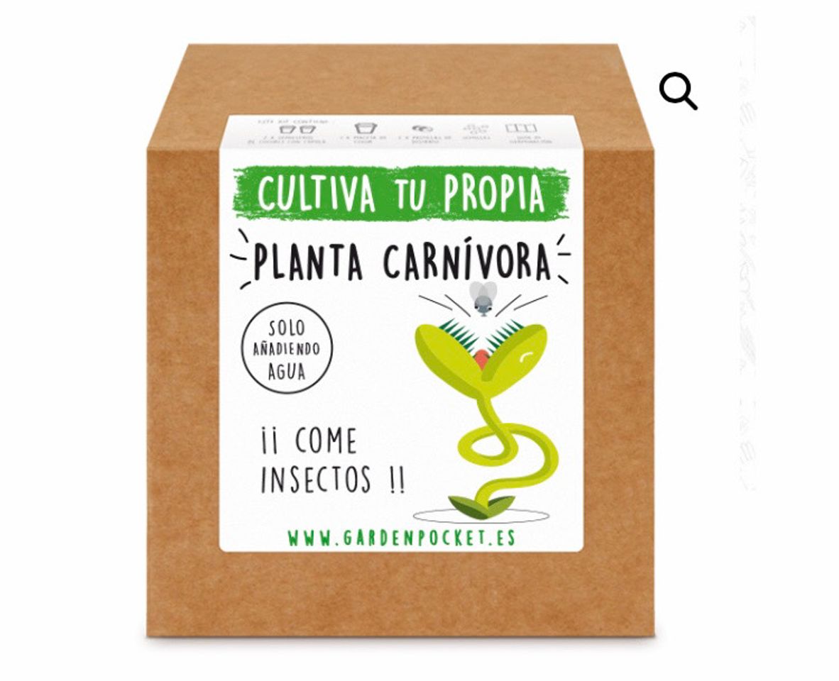 Social Kit para cultivar plantas carnívoras 