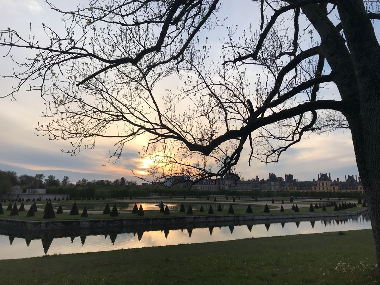 Moda Palacio de Fontainebleau 