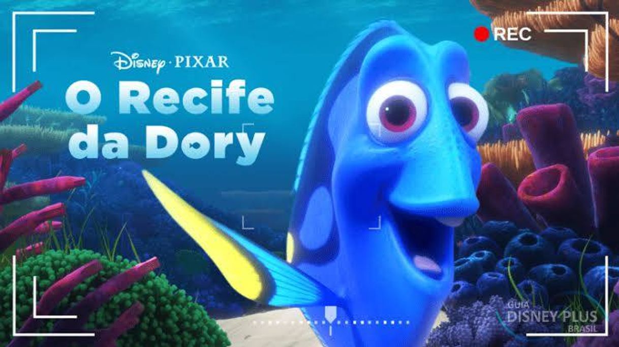 Movie La cámara del arrecife de Dory